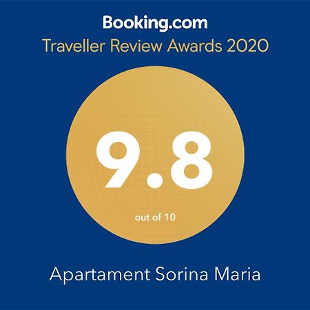 Apartament Sorina Maria Apartment Deva Bagian luar foto